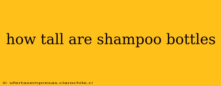 how tall are shampoo bottles