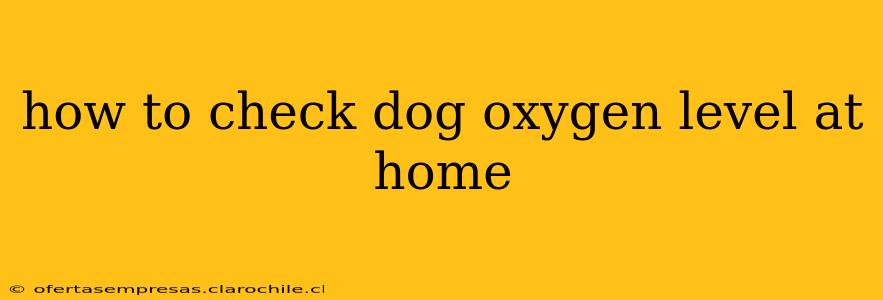 how to check dog oxygen level at home