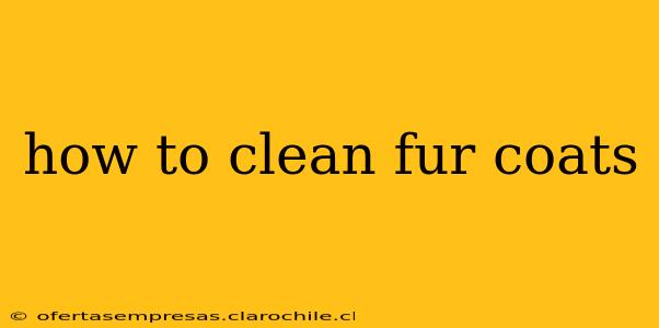 how to clean fur coats