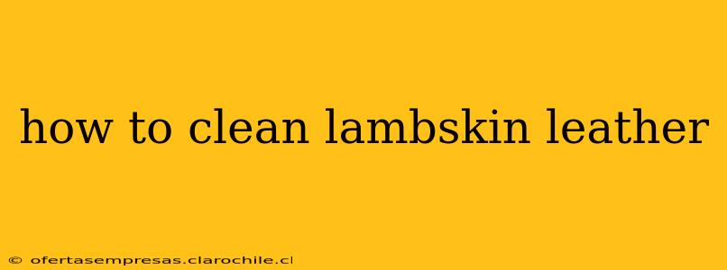 how to clean lambskin leather