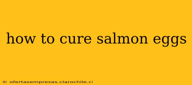 how to cure salmon eggs