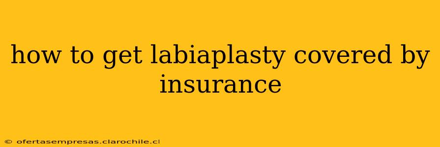 how to get labiaplasty covered by insurance