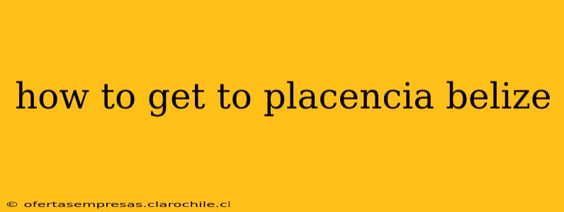 how to get to placencia belize
