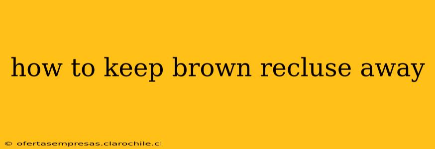 how to keep brown recluse away