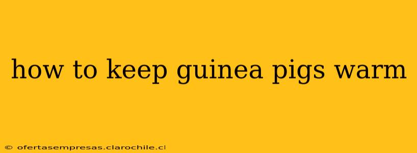 how to keep guinea pigs warm