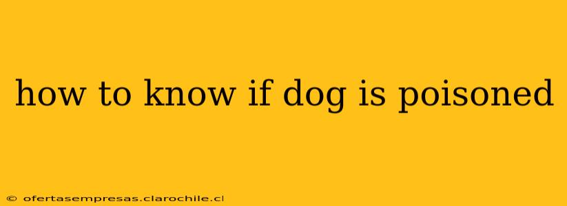 how to know if dog is poisoned