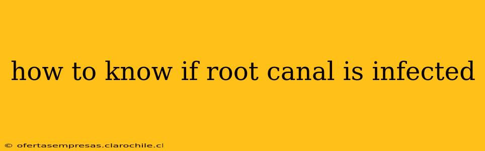 how to know if root canal is infected