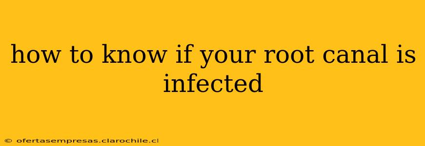 how to know if your root canal is infected
