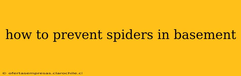 how to prevent spiders in basement