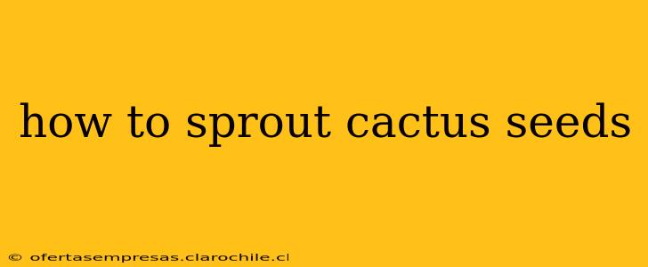how to sprout cactus seeds