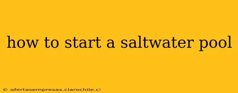 how to start a saltwater pool
