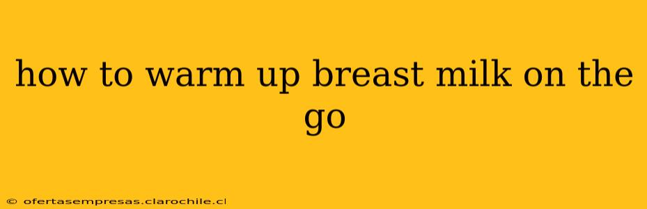 how to warm up breast milk on the go