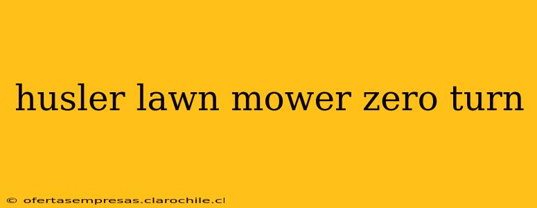 husler lawn mower zero turn