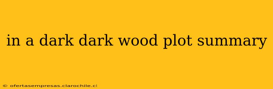 in a dark dark wood plot summary