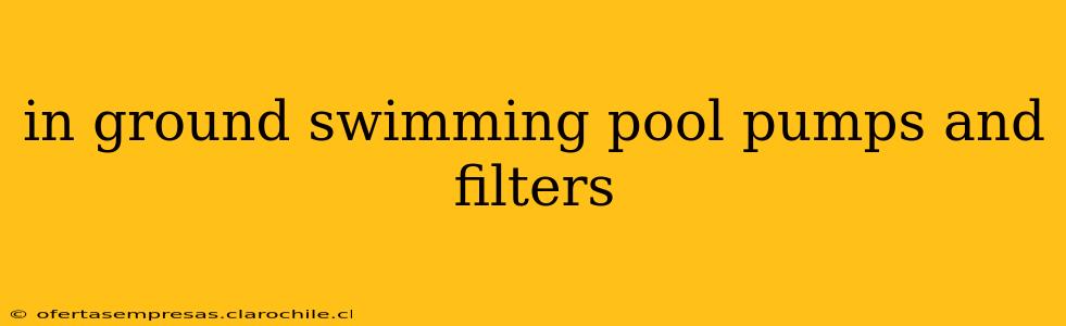 in ground swimming pool pumps and filters