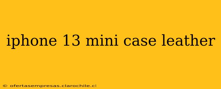 iphone 13 mini case leather