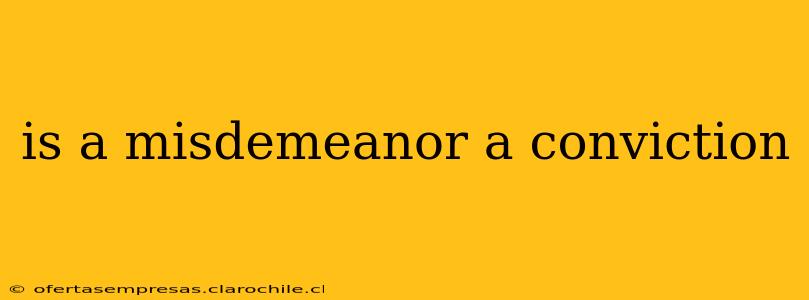 is a misdemeanor a conviction