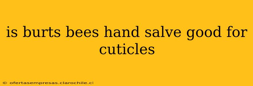 is burts bees hand salve good for cuticles