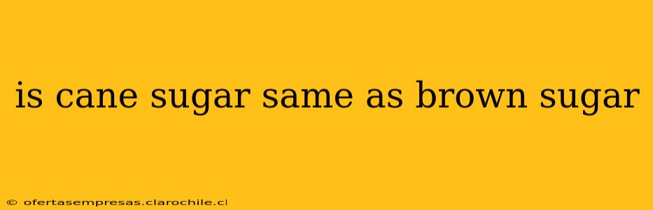 is cane sugar same as brown sugar