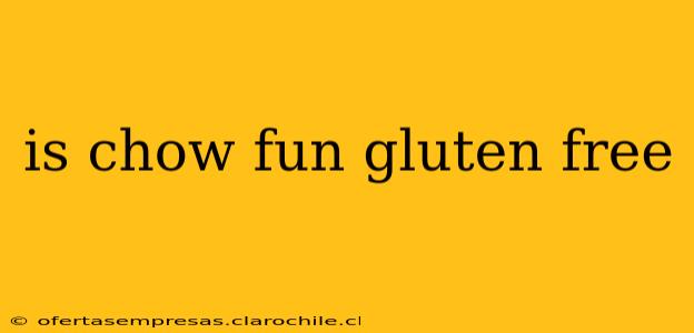 is chow fun gluten free