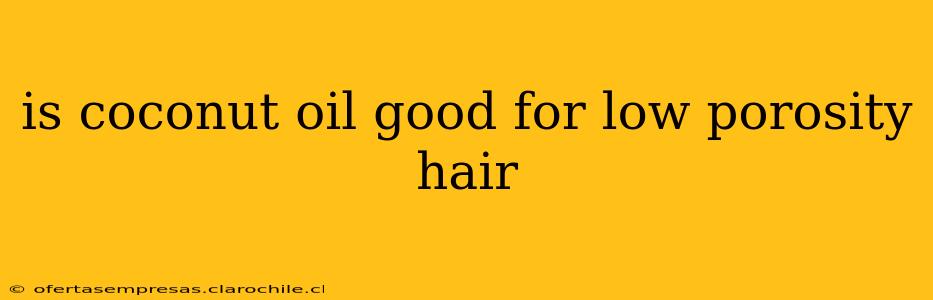 is coconut oil good for low porosity hair