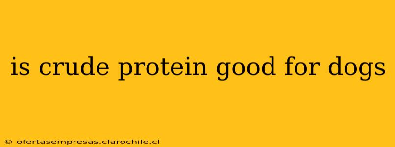 is crude protein good for dogs