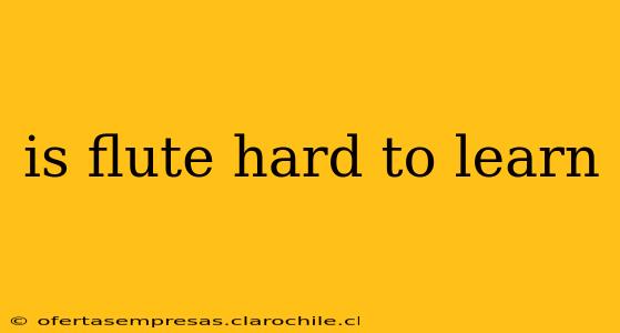is flute hard to learn