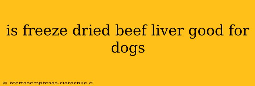 is freeze dried beef liver good for dogs