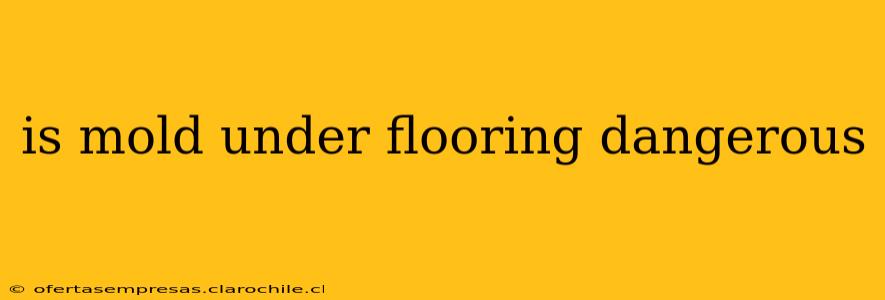 is mold under flooring dangerous