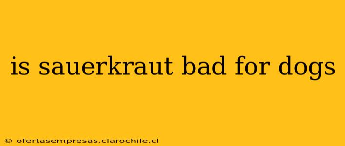 is sauerkraut bad for dogs