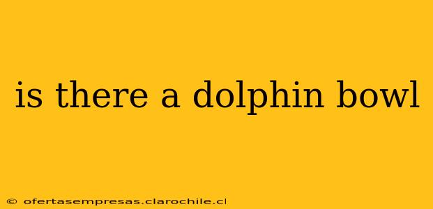 is there a dolphin bowl