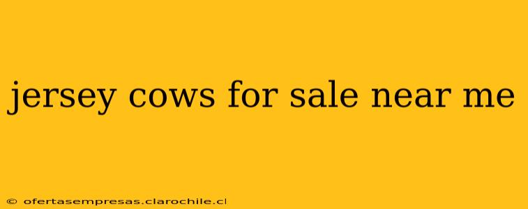 jersey cows for sale near me