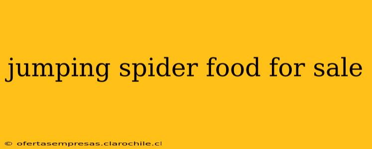 jumping spider food for sale