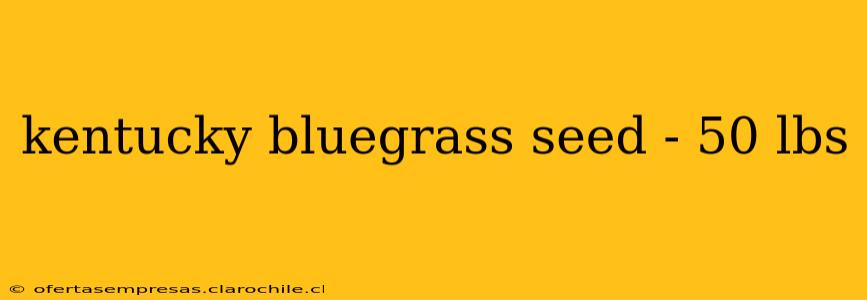 kentucky bluegrass seed - 50 lbs