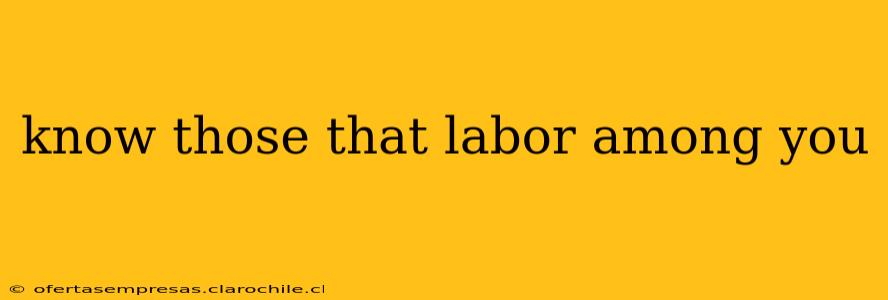 know those that labor among you