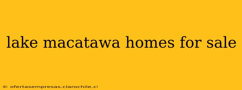lake macatawa homes for sale