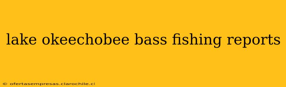 lake okeechobee bass fishing reports