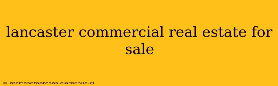lancaster commercial real estate for sale