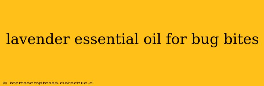 lavender essential oil for bug bites