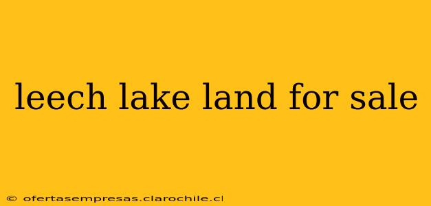 leech lake land for sale