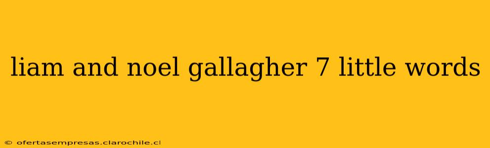 liam and noel gallagher 7 little words