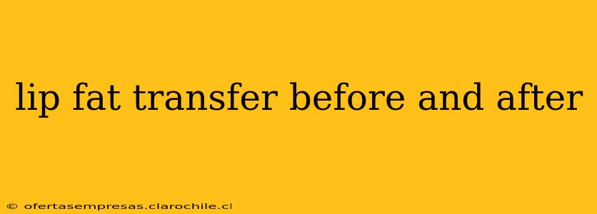 lip fat transfer before and after