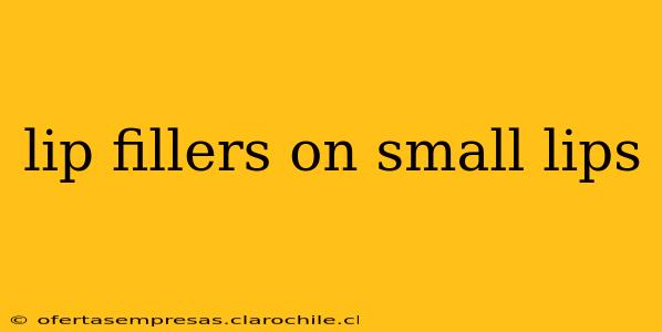lip fillers on small lips