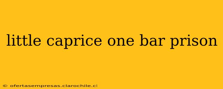 little caprice one bar prison
