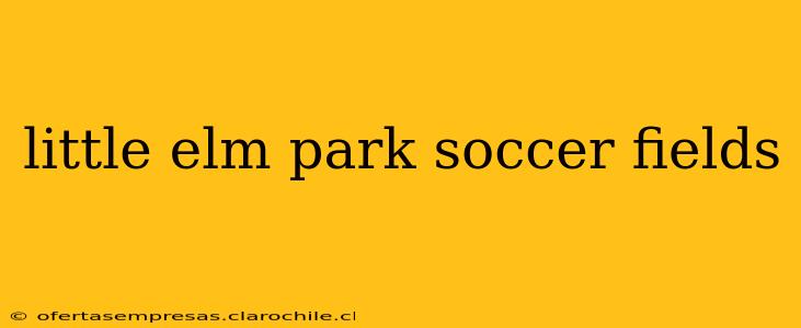 little elm park soccer fields