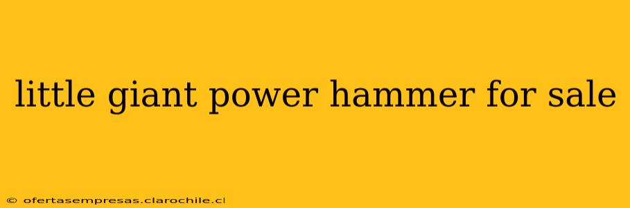 little giant power hammer for sale