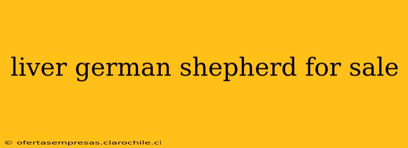 liver german shepherd for sale