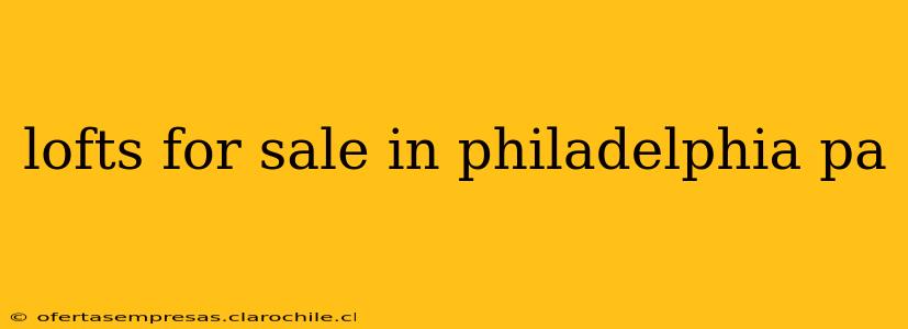 lofts for sale in philadelphia pa