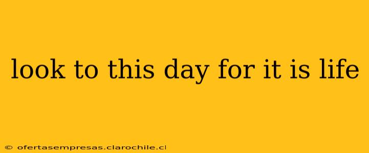 look to this day for it is life