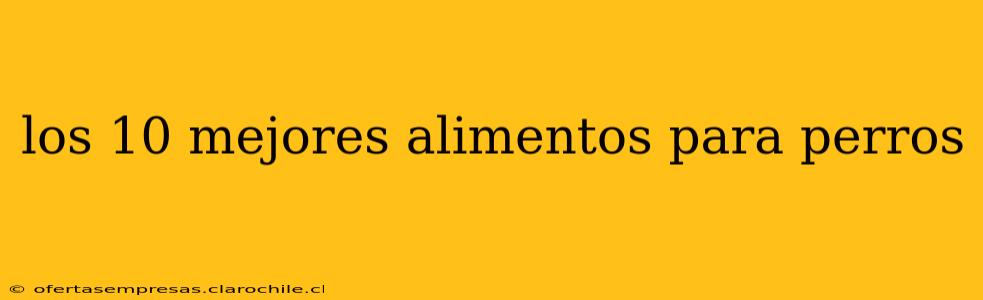 los 10 mejores alimentos para perros